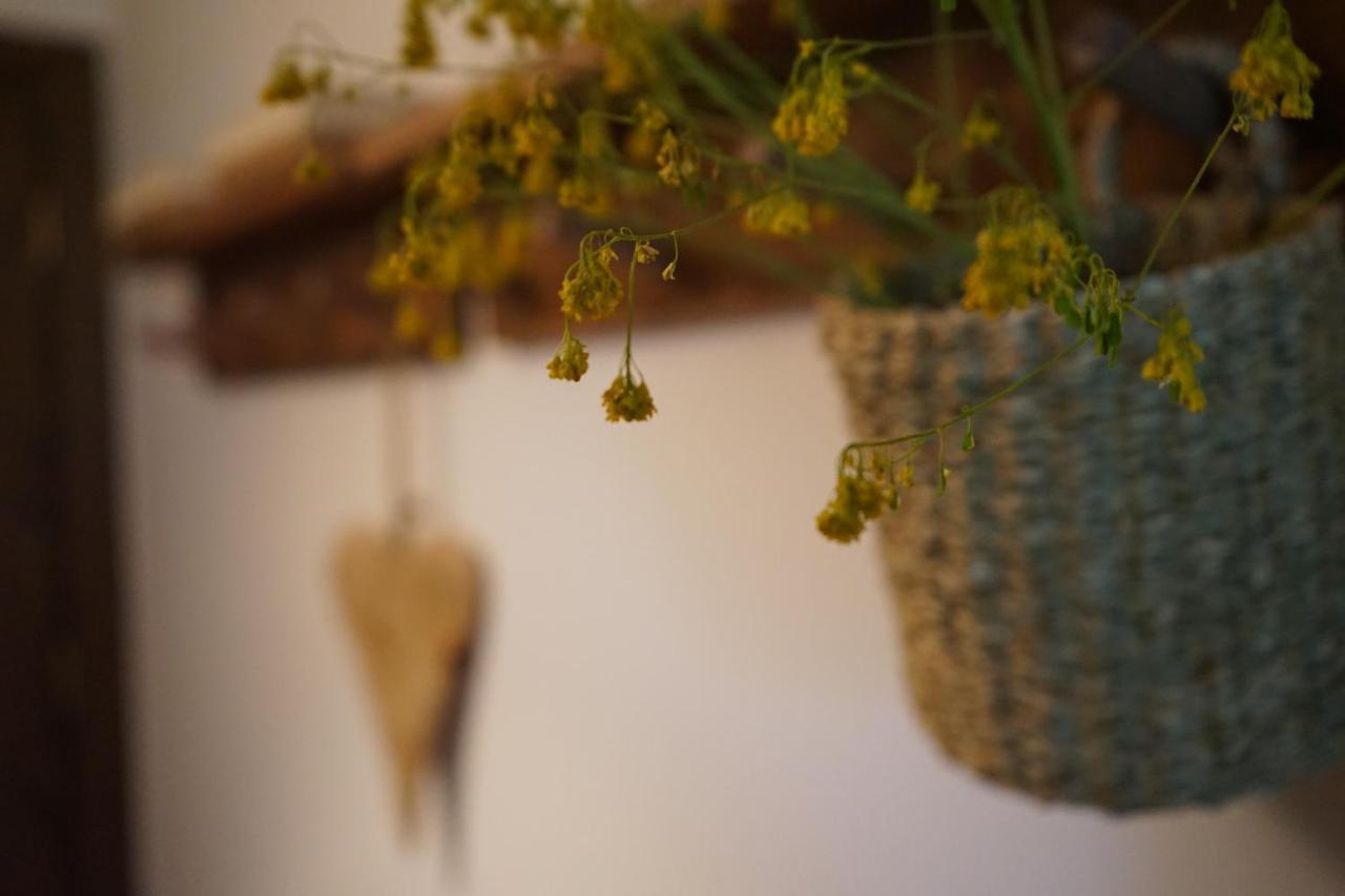 Apartamento Con Jardin En La Cerdanya Err Exterior photo